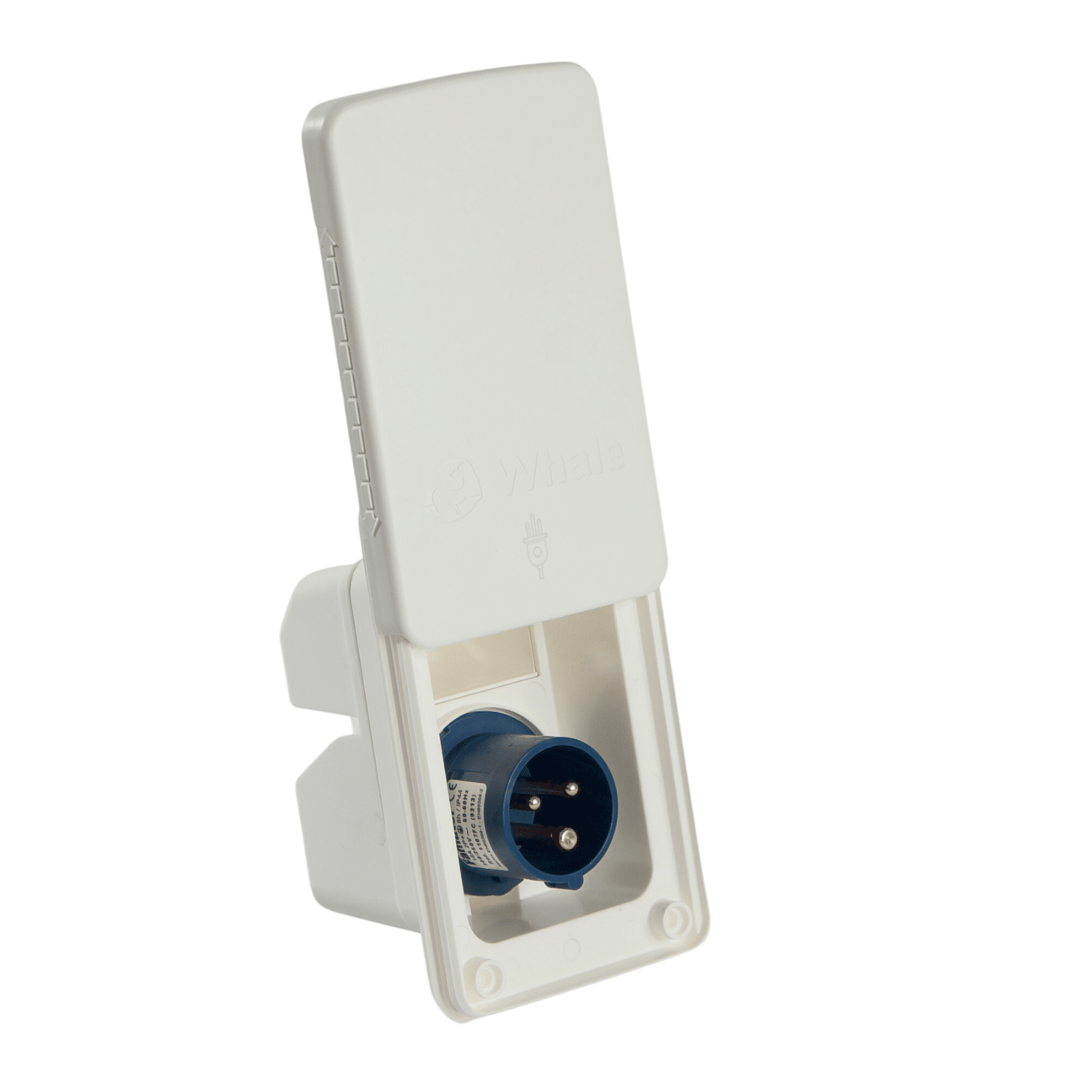Whale Mains Electrical In Socket White